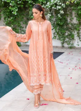 3 Pc Chikankari Lawn Unstitched