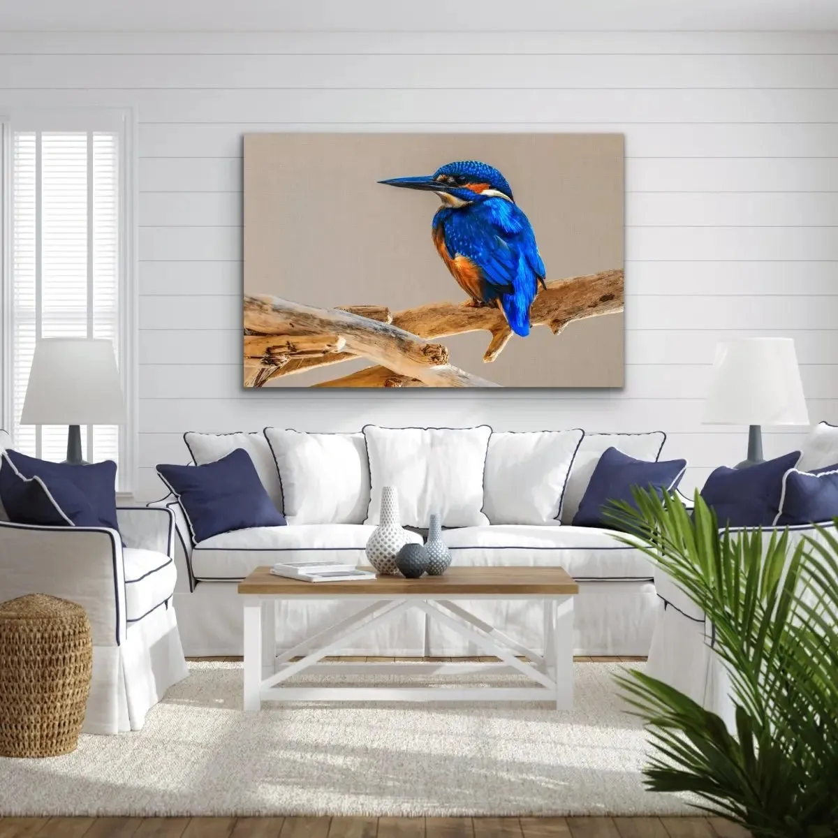 Azure Kingfisher- Blue Australian Bird Canvas And Art Print