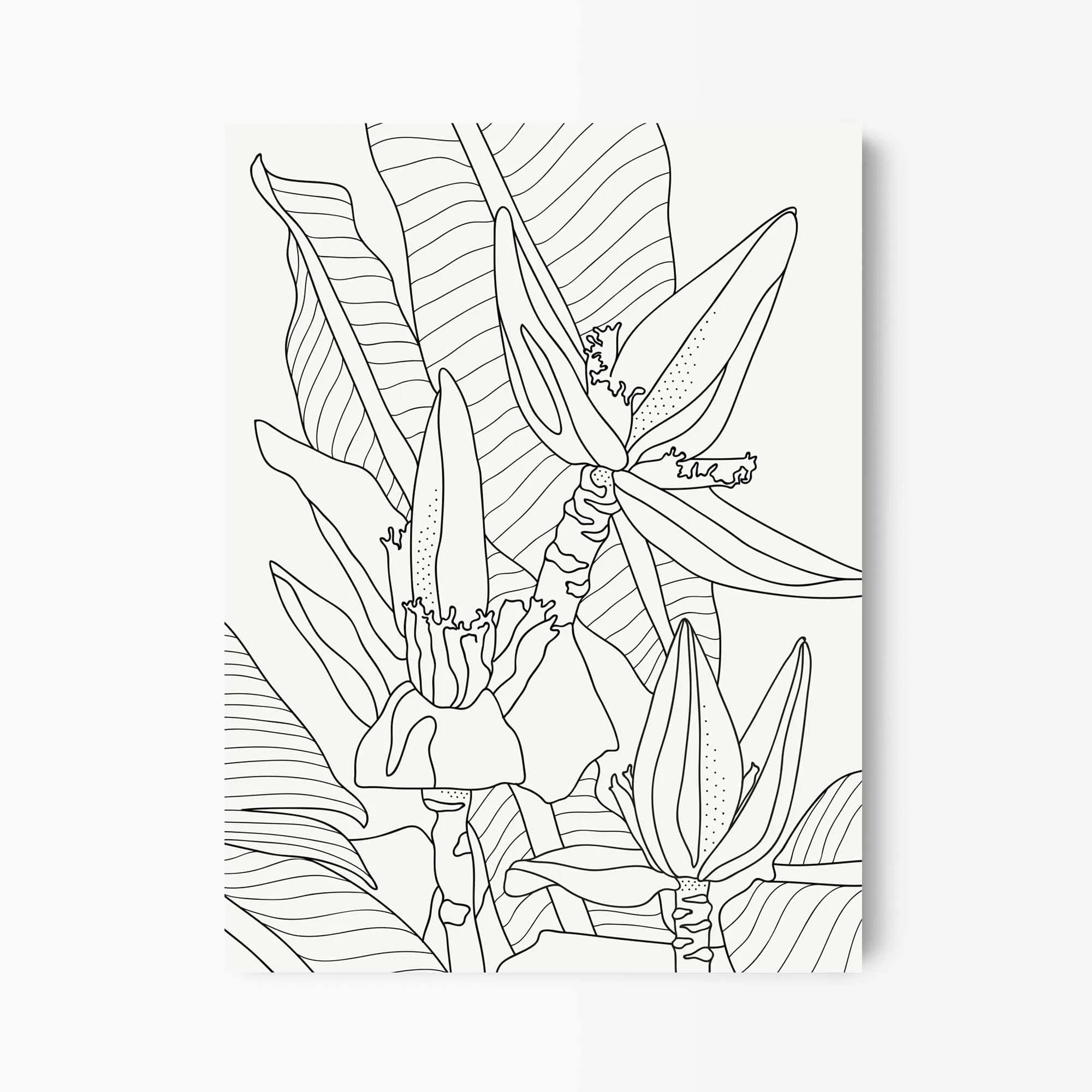 Banana Flower Line Art