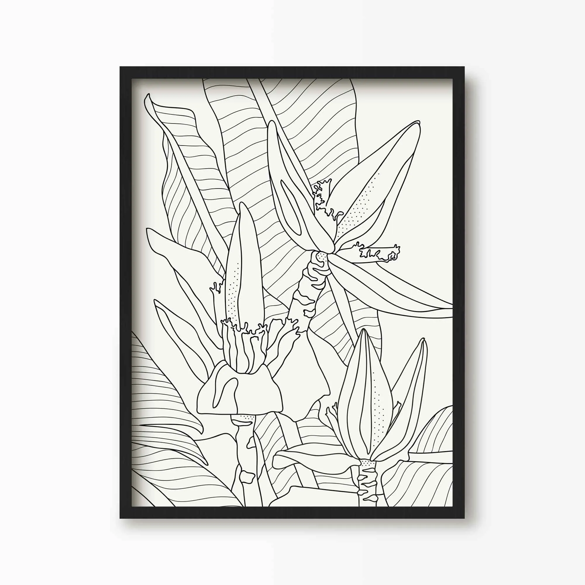 Banana Flower Line Art