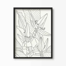 Banana Flower Line Art