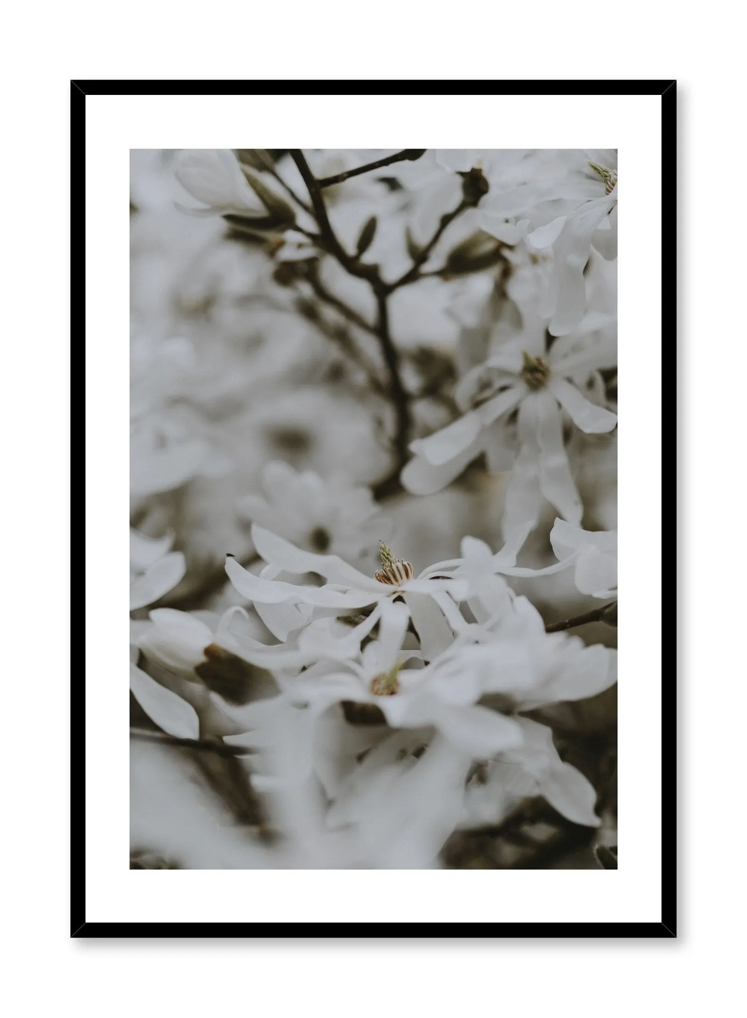 Bed of Flowers, Poster