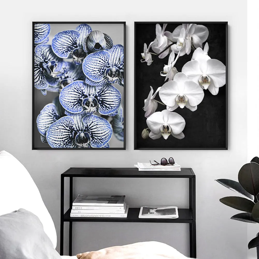 Blue Vein Orchids - Art Print