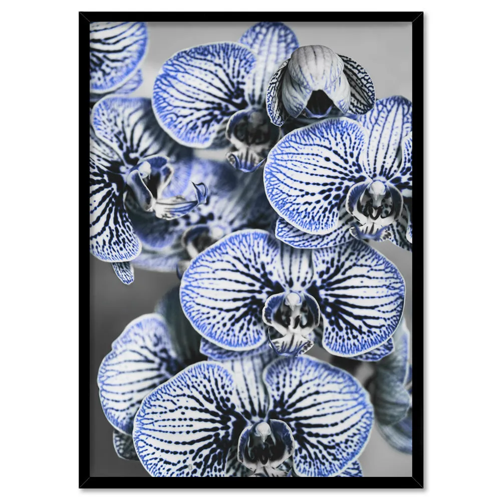 Blue Vein Orchids - Art Print