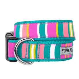 Collar | Fiesta Stripe