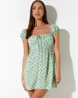 Galova Mini Dress in Lime Floral